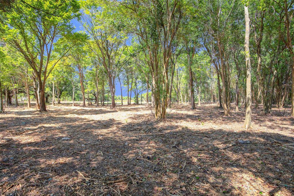 Much of the property has been cleared.