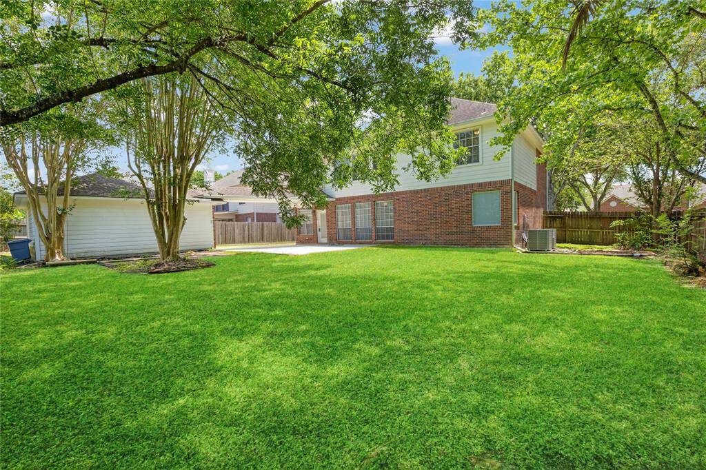 Nicely shaded backyard