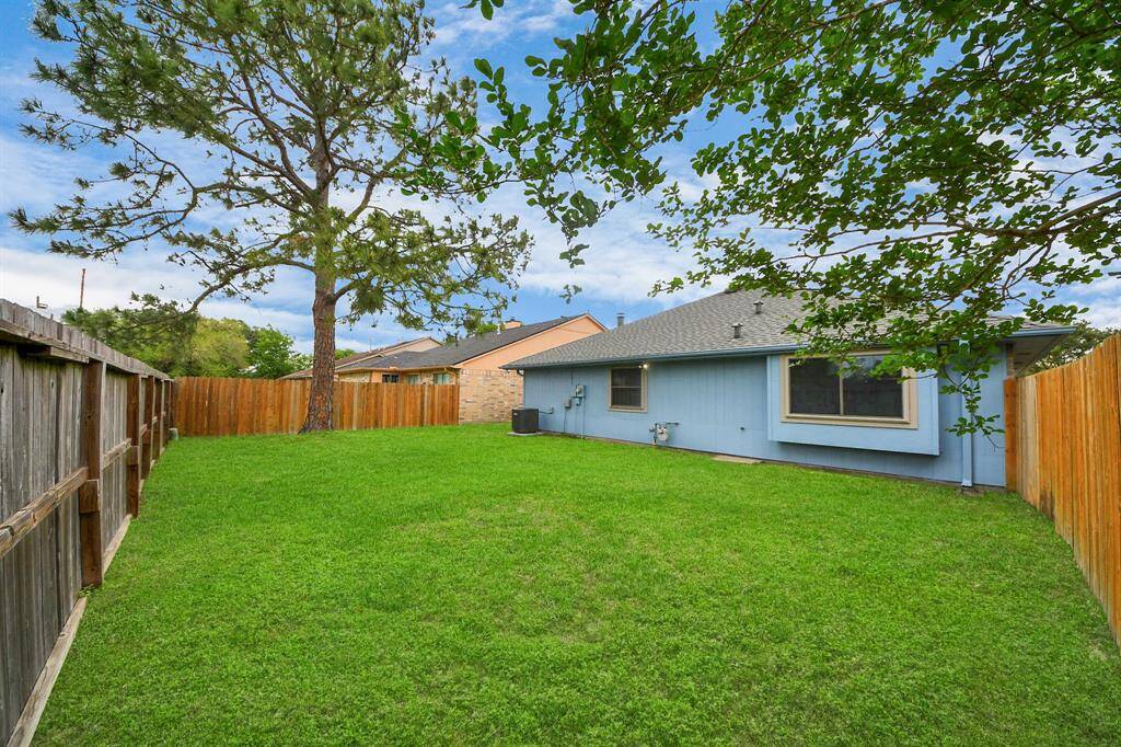 Nice backyard!
