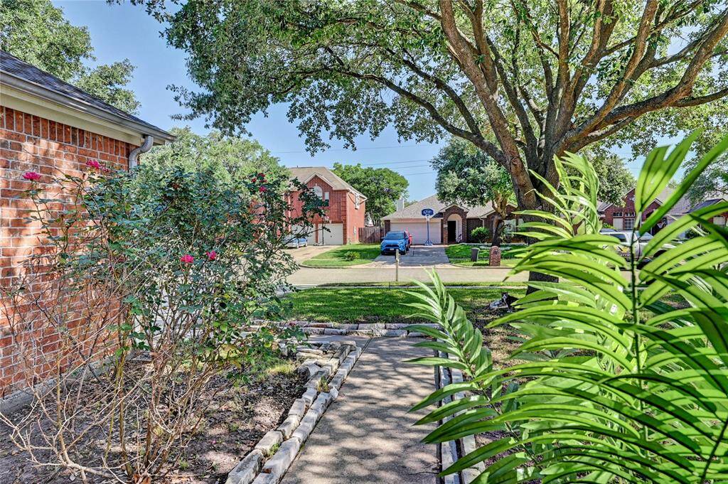 Property Image 43