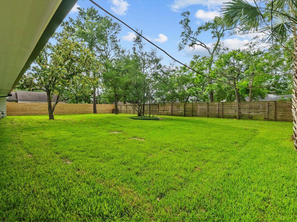 LARGE backyard