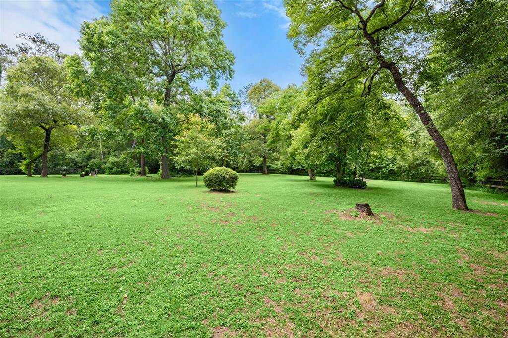 No roof lines, just green grass, tall trees and lots of room to roam.