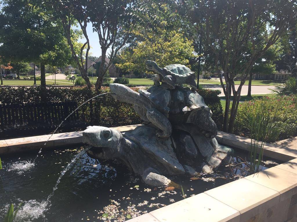 Lots of natural beauty comes with this community but a big frog is kinda cute also.