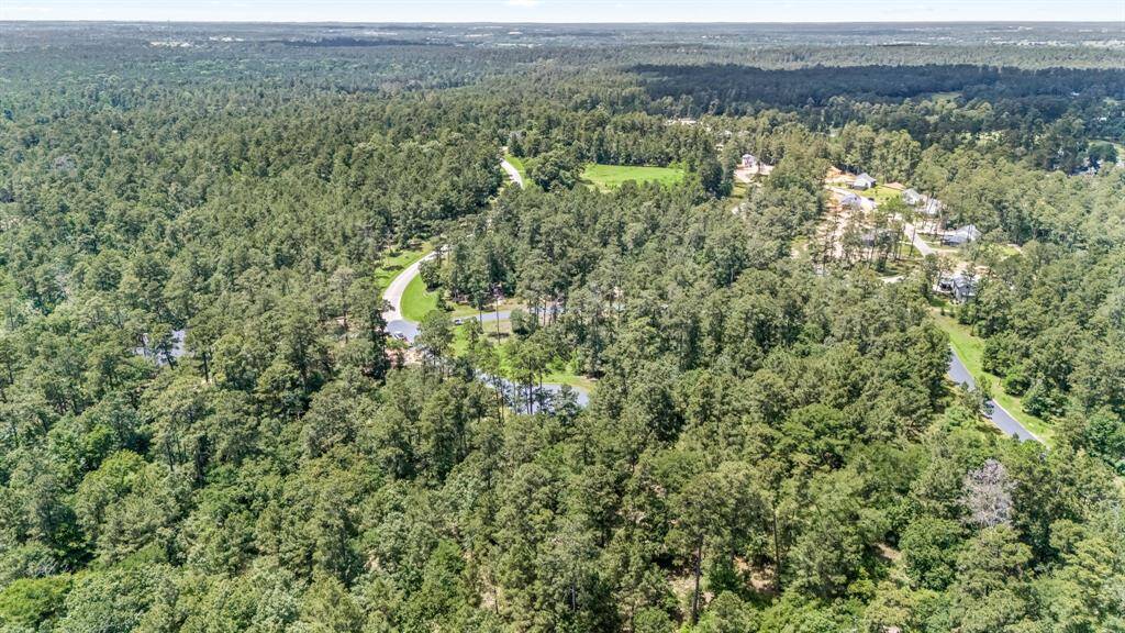 This could be your slice of the forest in Bluejack National