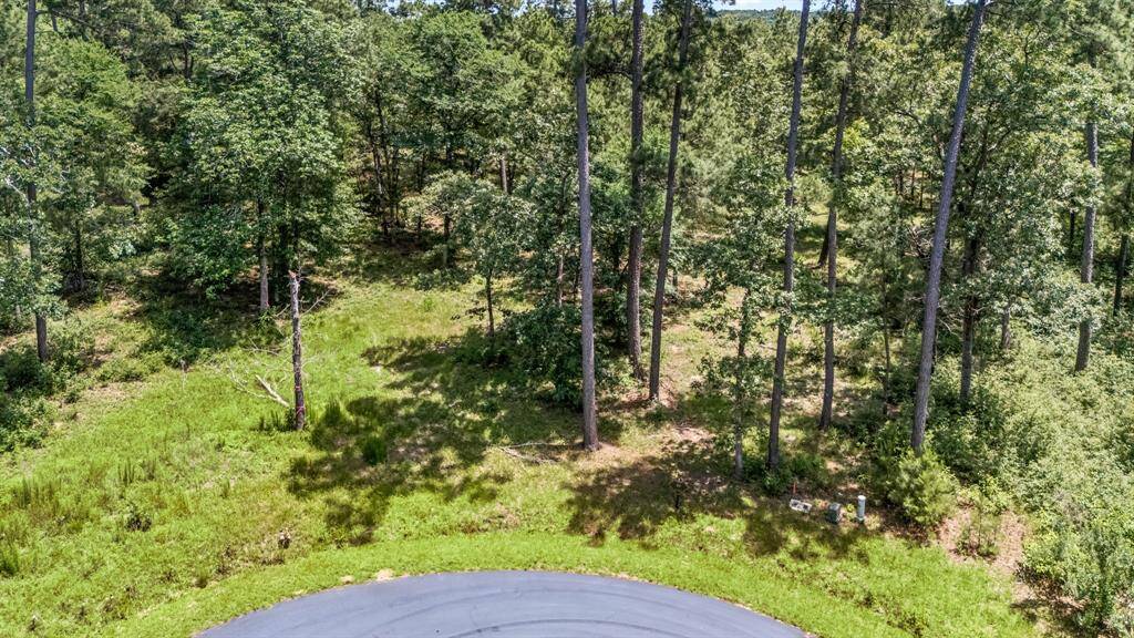 Take your pick of the ample trees to frame your new home.