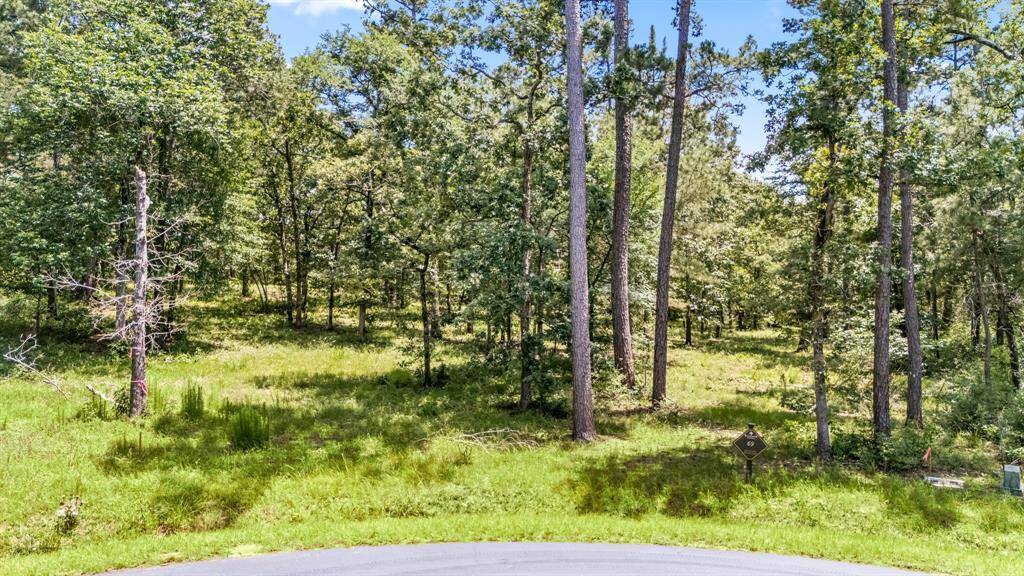 Another view from the street, showcasing that this homesite has had the underbrush cleared and is ready for your potential home ideas!