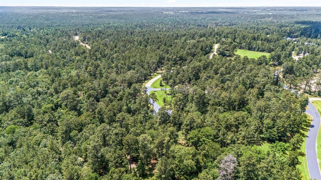 4468 Sayde Ridge is an oversized home site- one of the largest wooded lots in Bluejack National