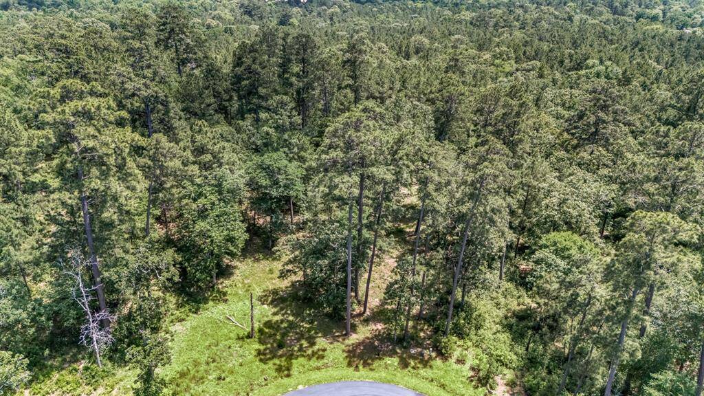 This could be your slice of the forest in Bluejack National