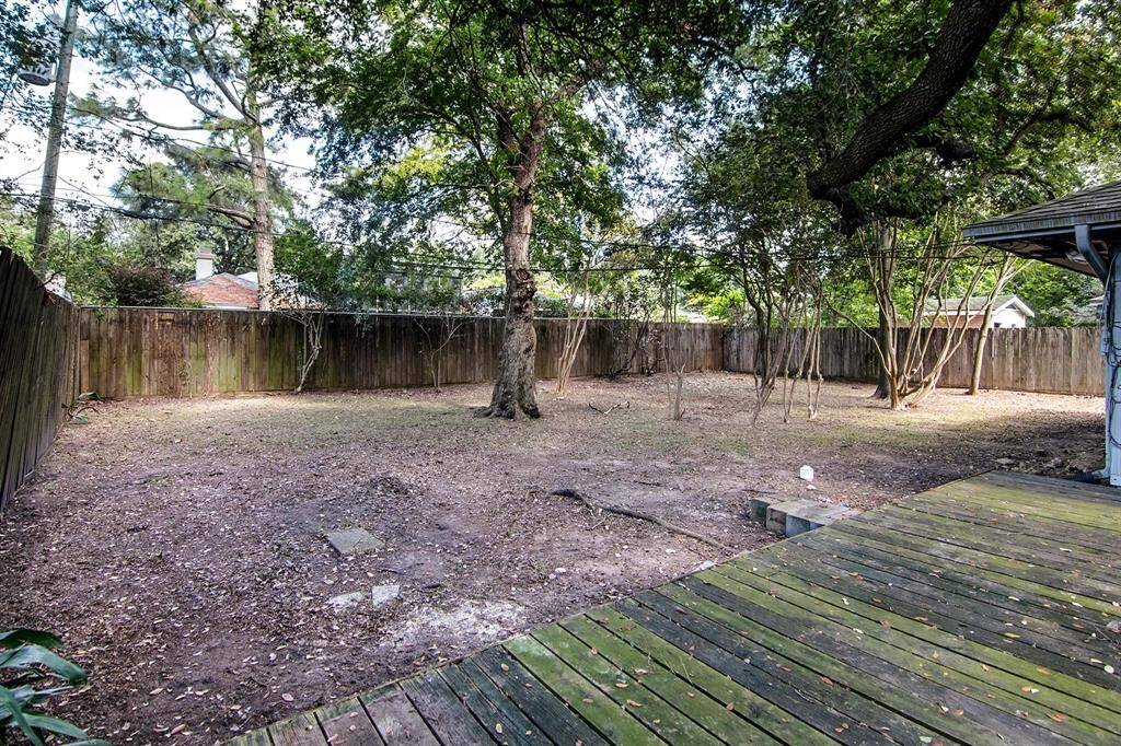 Backyard
