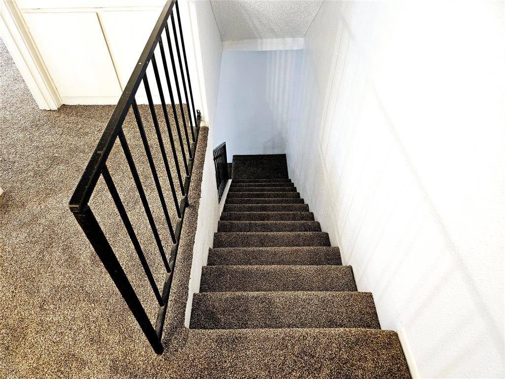 new carpet & paint