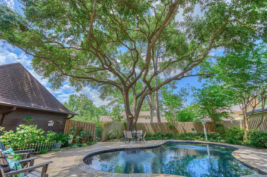 Outstanding live oak creates a special canopy over the pool area.