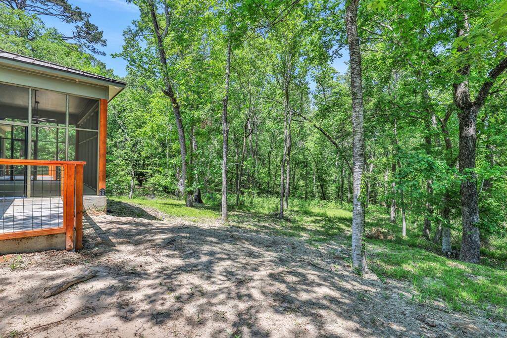 View of the back of the property. The 3.7 acres feels very secluded.