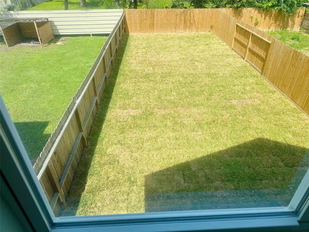 yard
