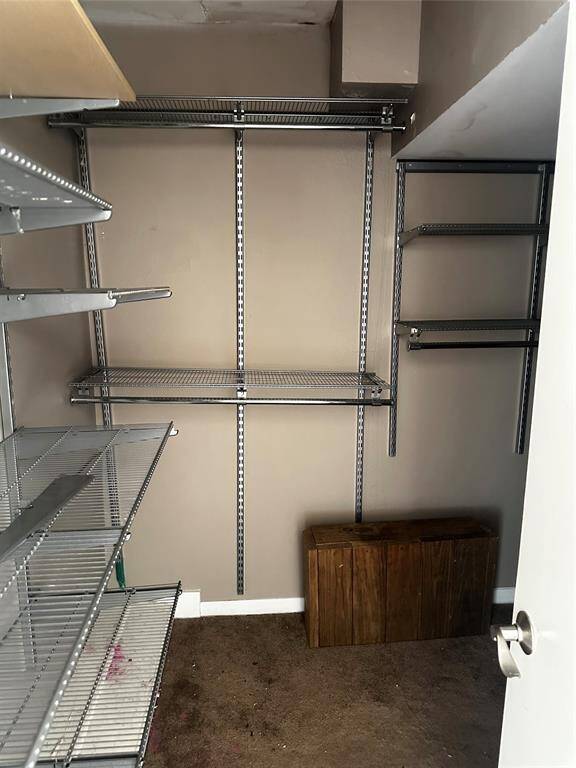 Primary bedroom's walk-in closet with shelving