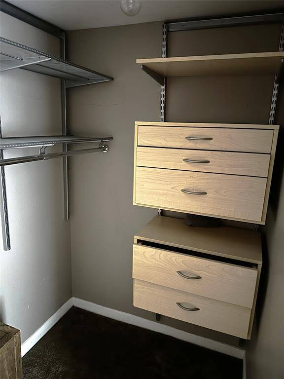Primary bedroom's walk-in closet with shelving