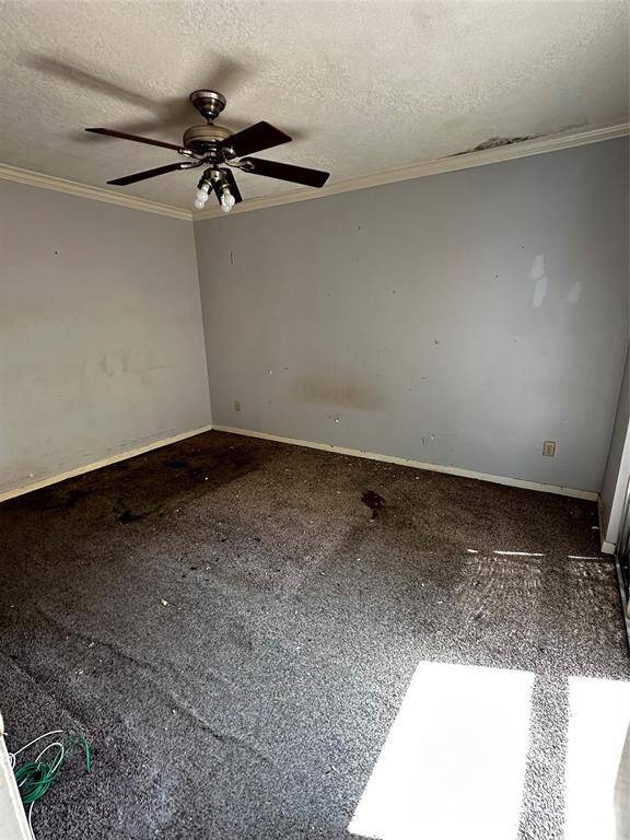 Secondary bedroom (downstairs)
