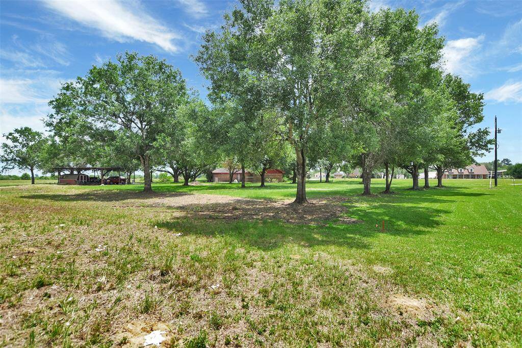 Left Corner back of the property