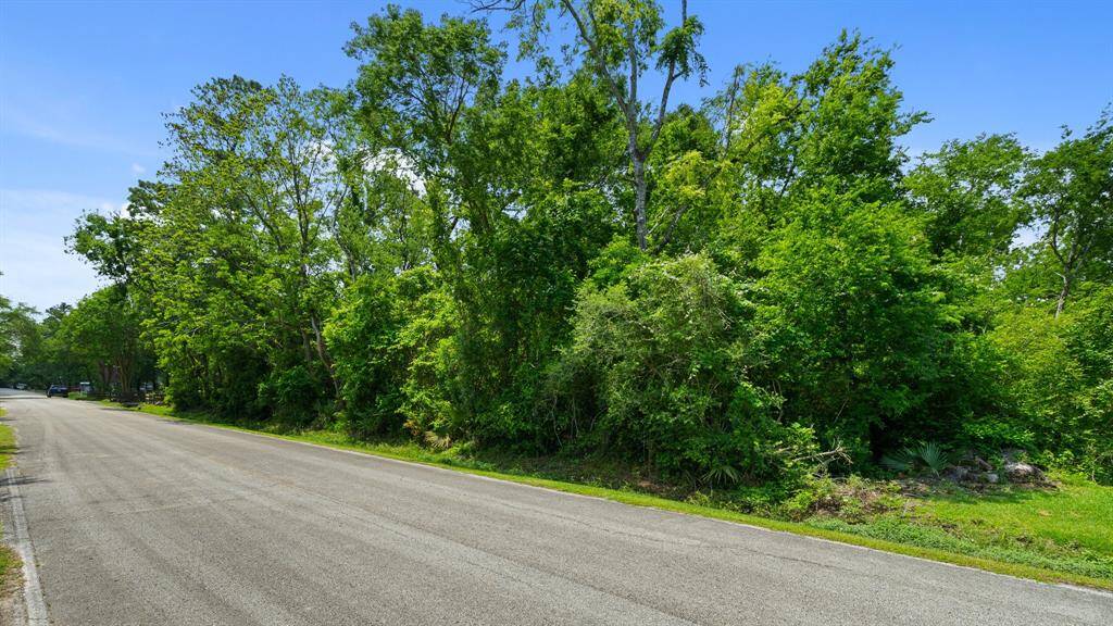 Lots of mature trees on property.
