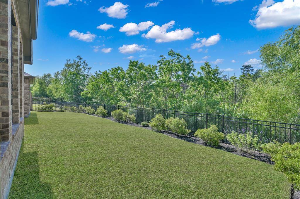 Amazing view of the preserve!
