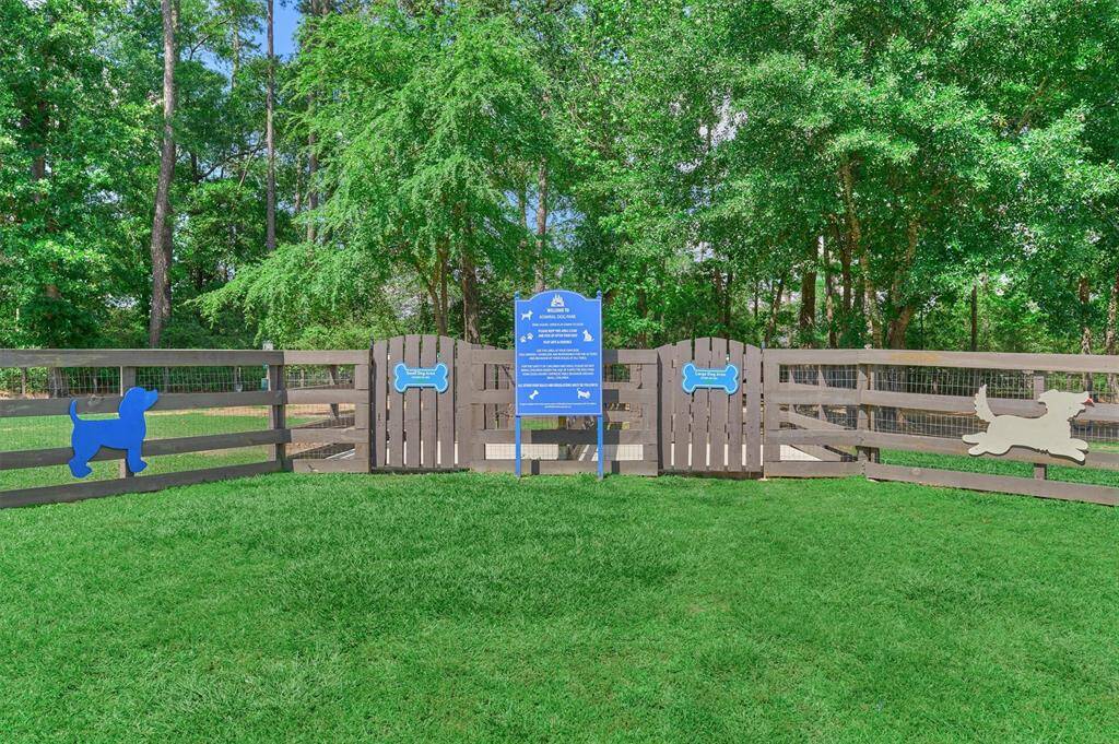 Dog Park