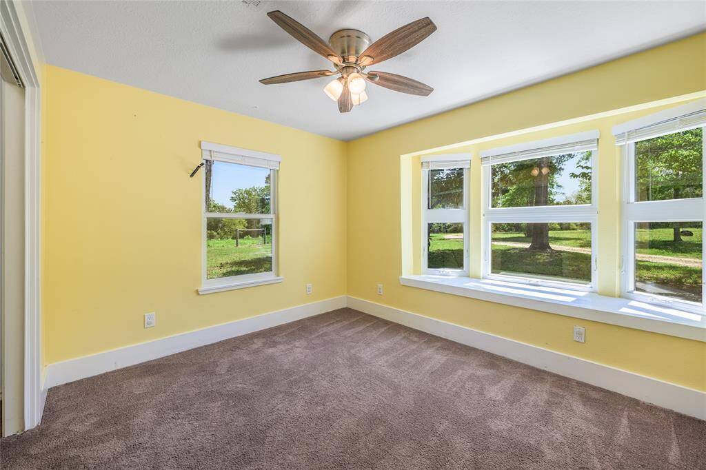 Downstairs bedroom