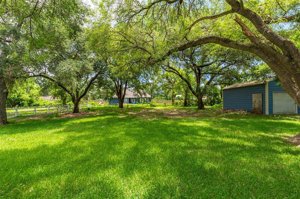 BACK YARD AREA
