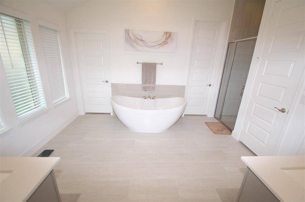 Stand alone tub is a centerpiece!