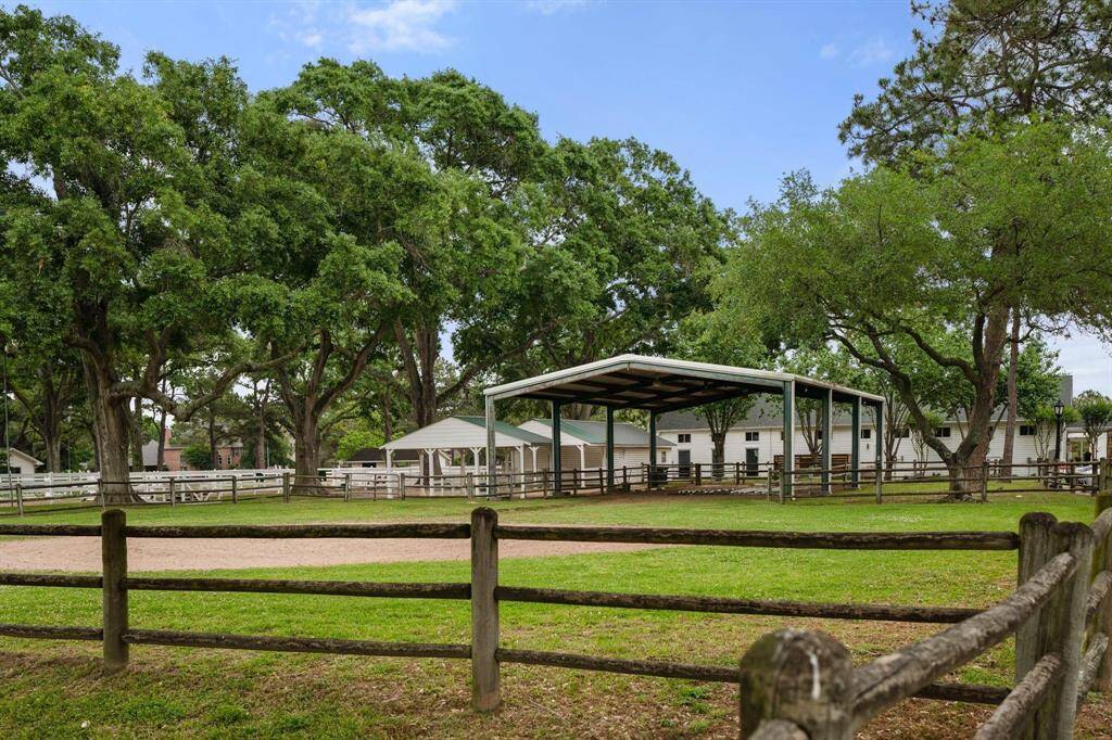 An incredible equestrian center.