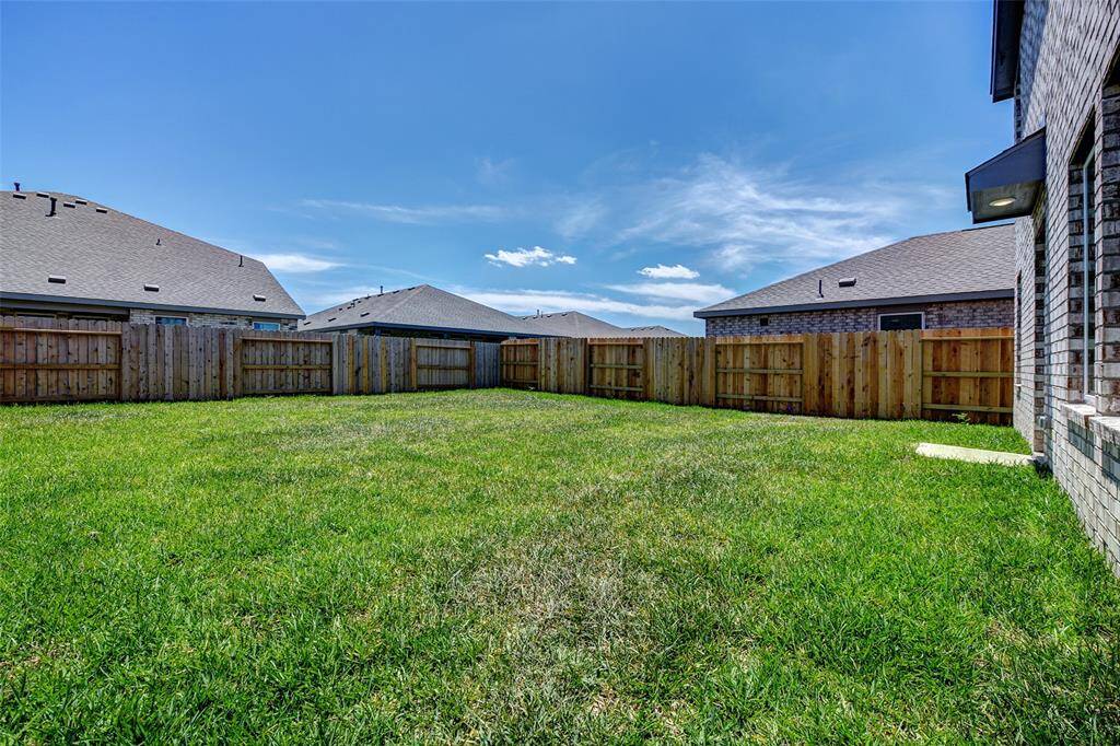 Plenty of backyard space.
