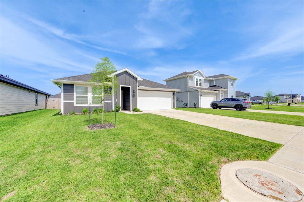 Front Lawn