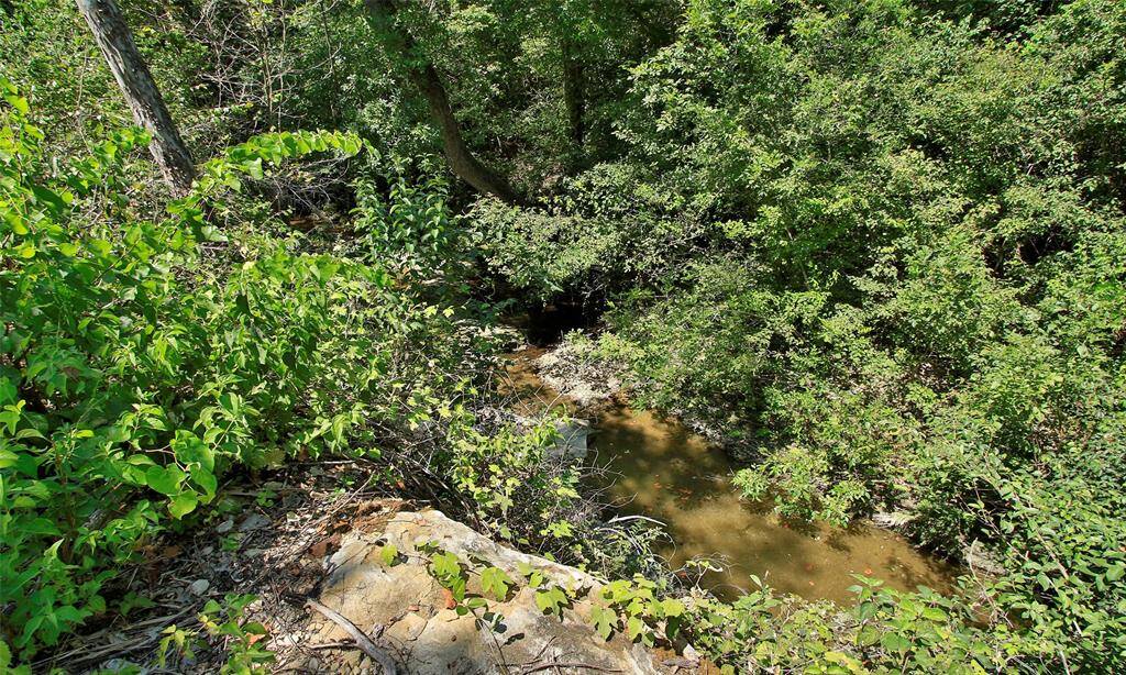 Spring Creek