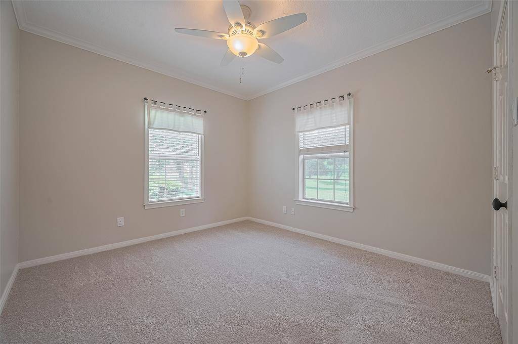 Another of the 2ndard bedrooms  - freshly painted and also with new (May 2025) carpet!