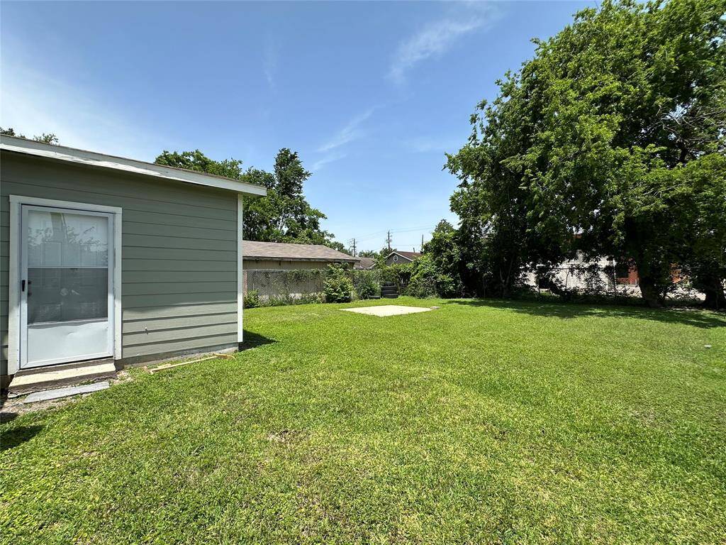 Backyard