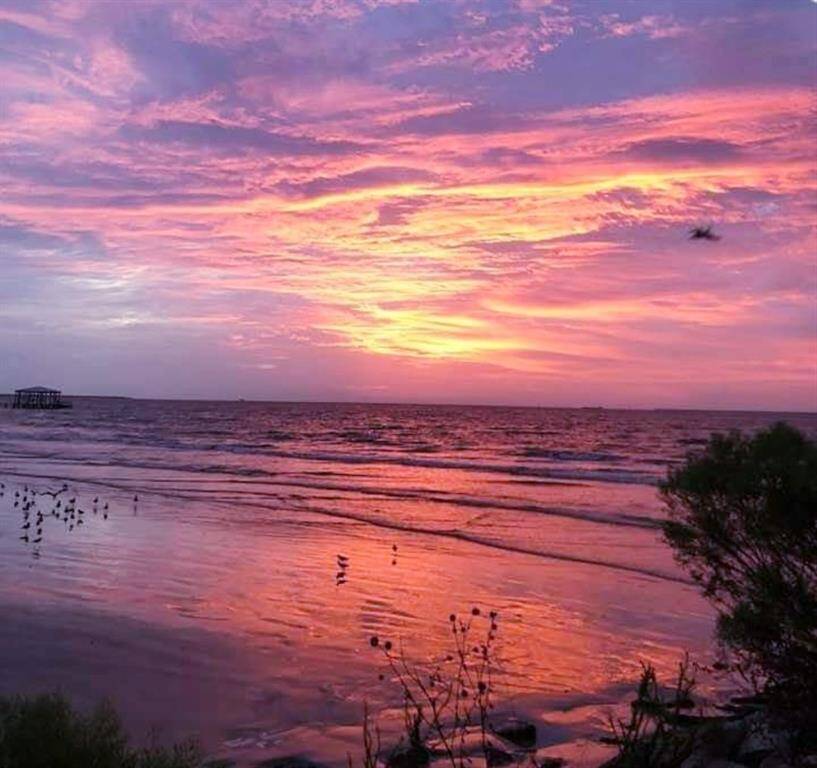 El Jardin Sunrise