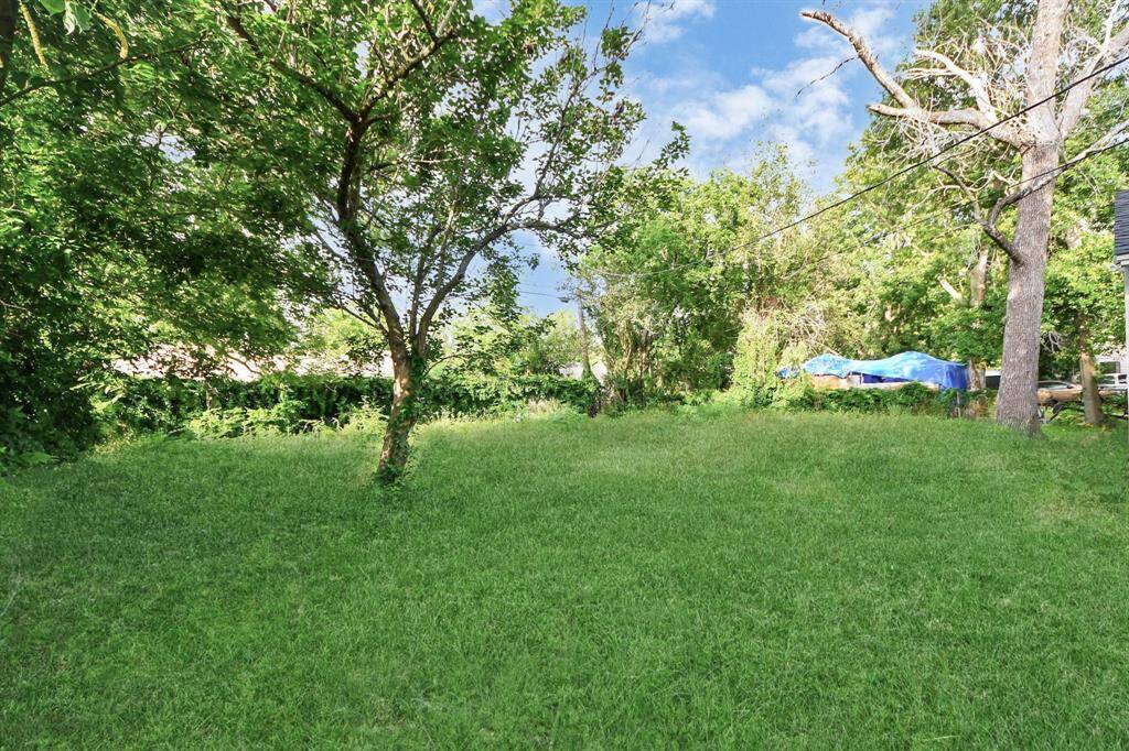 Property Image 46