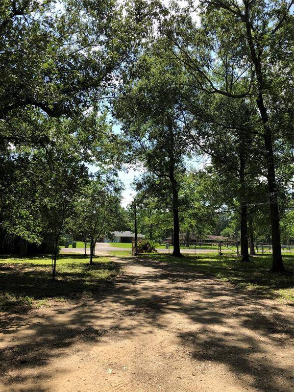 Driveway going out of property