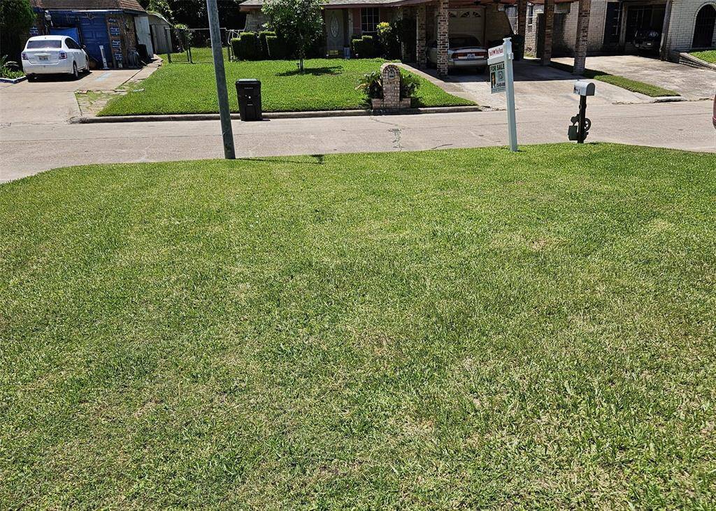 Lush, vibrant green front yard perfect for outdoor enjoyment.