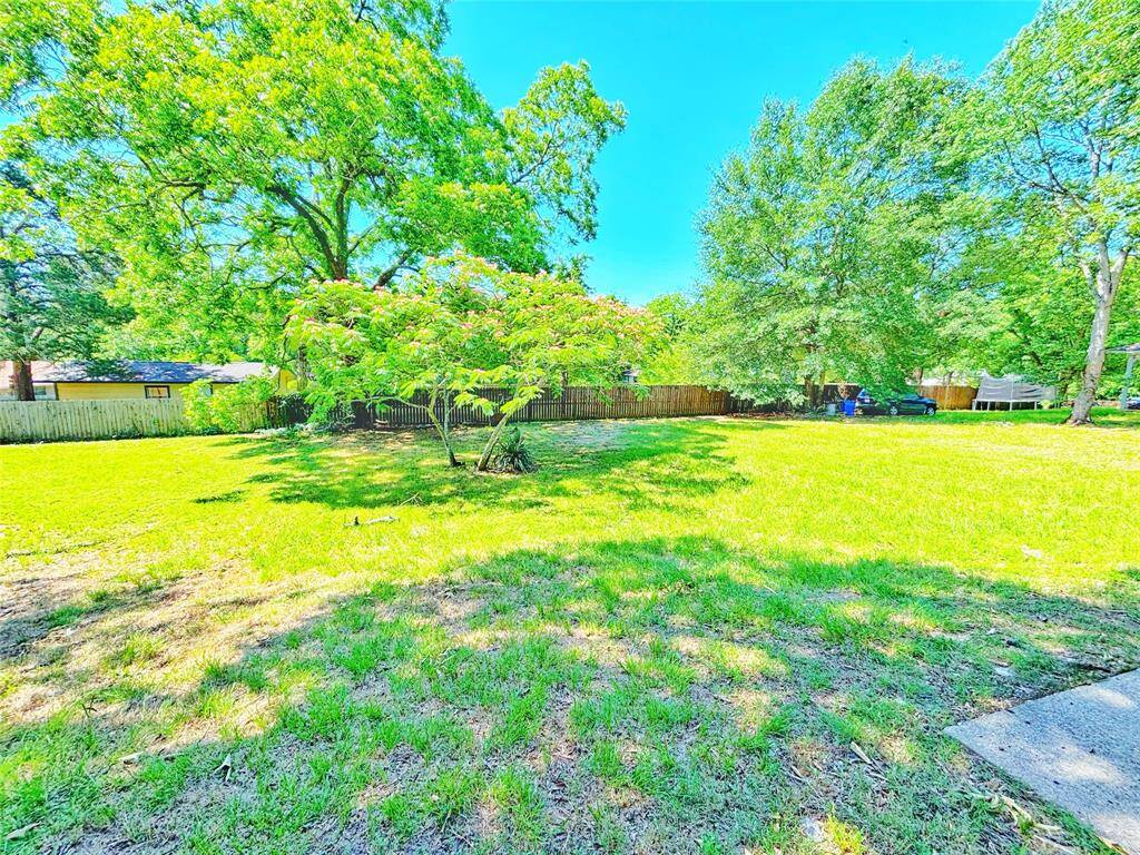 Back yard