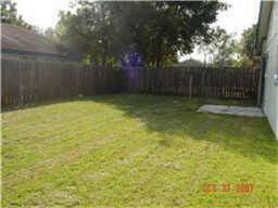 Another shot of backyard.