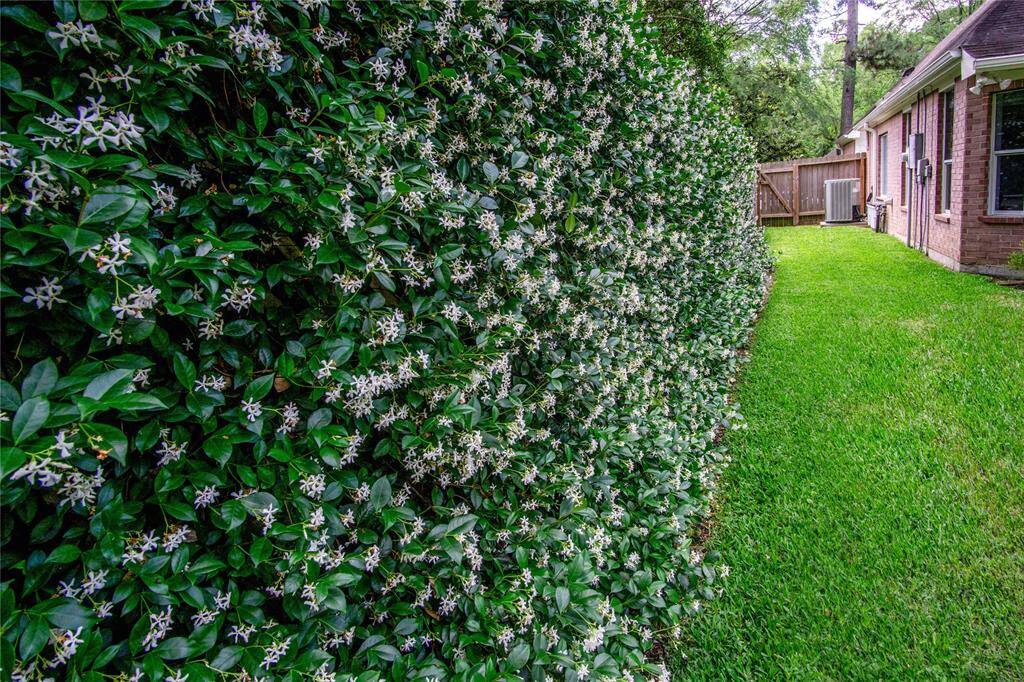 Whole home water filtration system installed & accessed on this side of the home. Both sides of the fence have large sections covered with mature jasmine for year-round green beauty & pleasant jasmine aroma when it blooms in the spring!