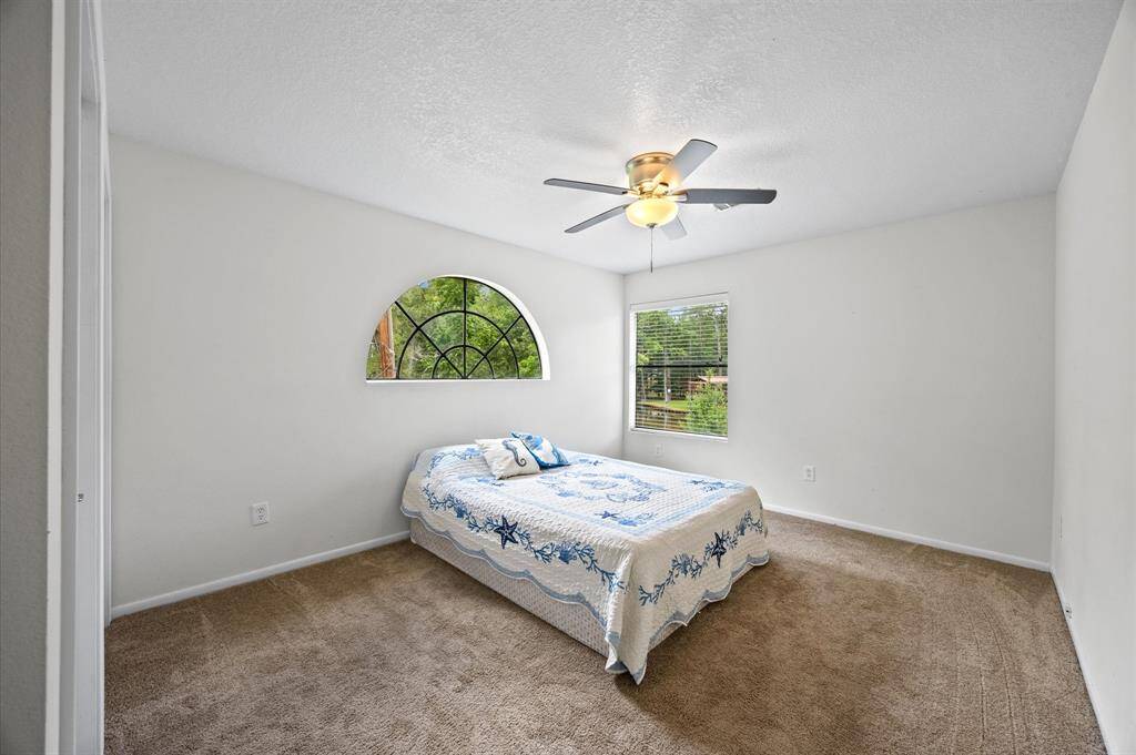 Bright bedroom with a charming arched window offering abundant natural light and a lovely view.