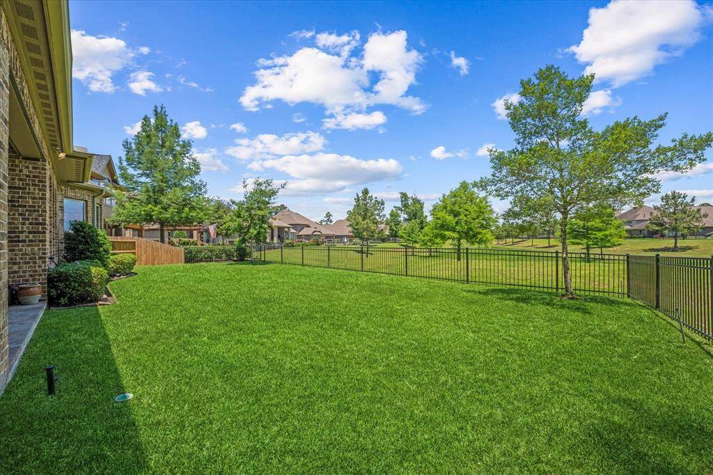 View of the backyard and green space