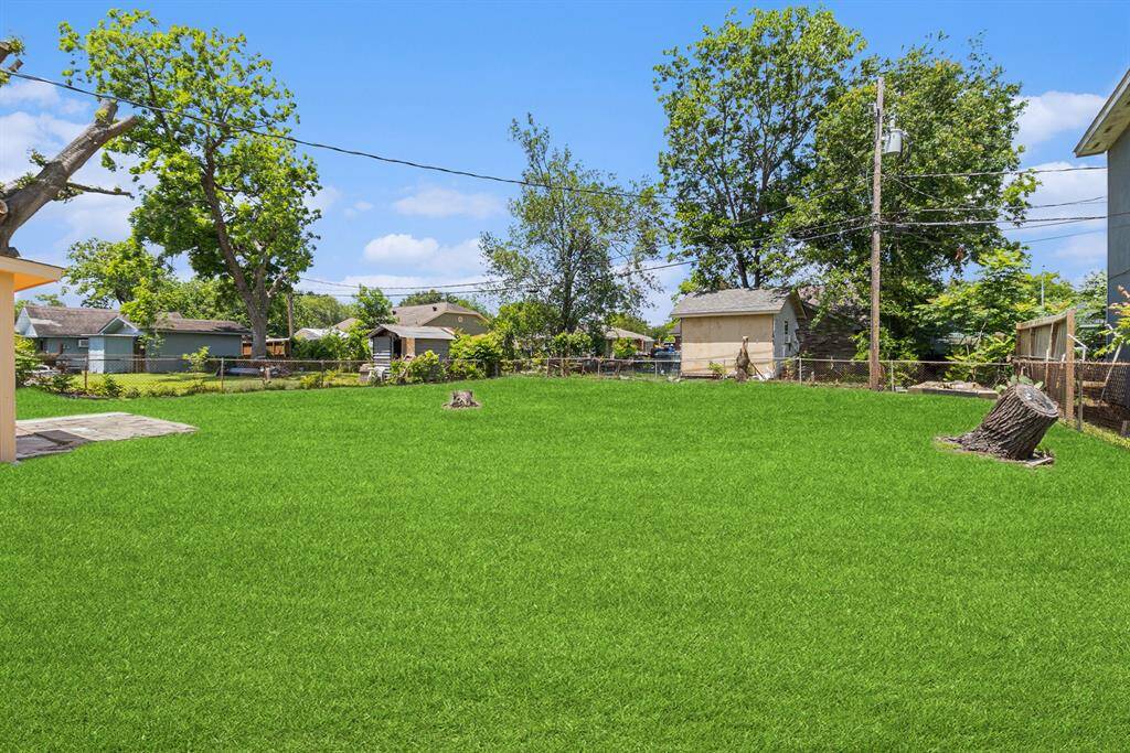 Backyard