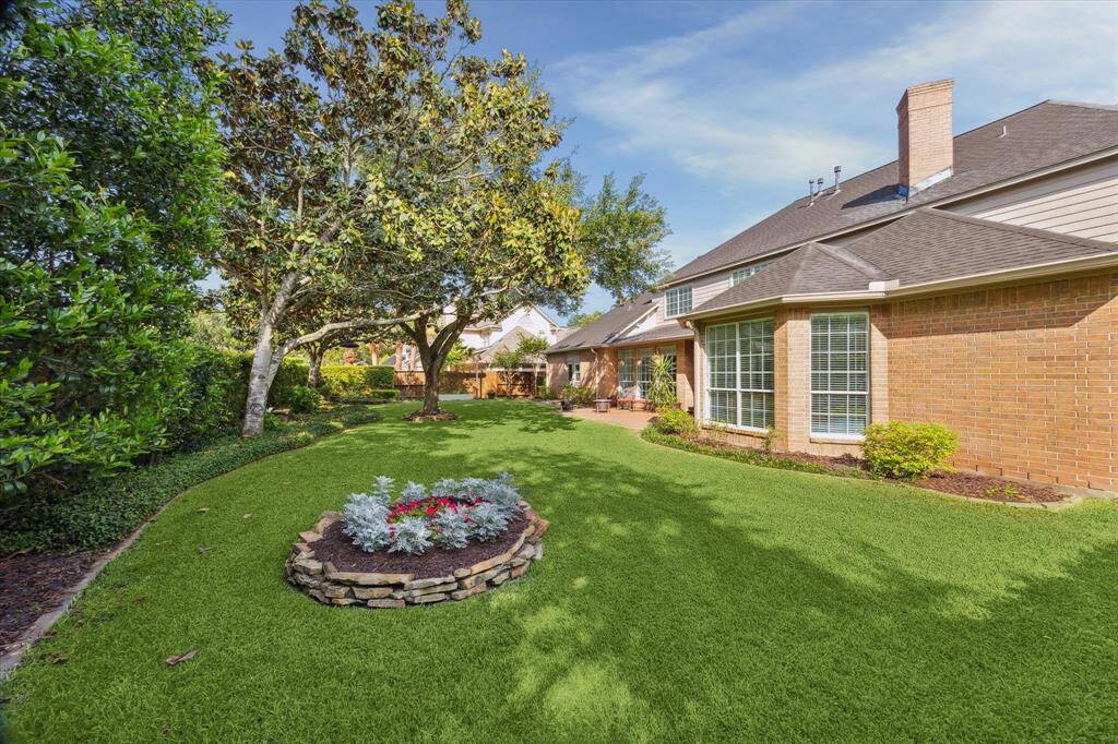 Backyard.