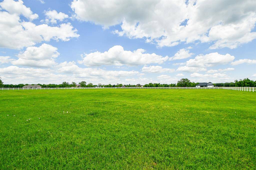 Now that is a yard!