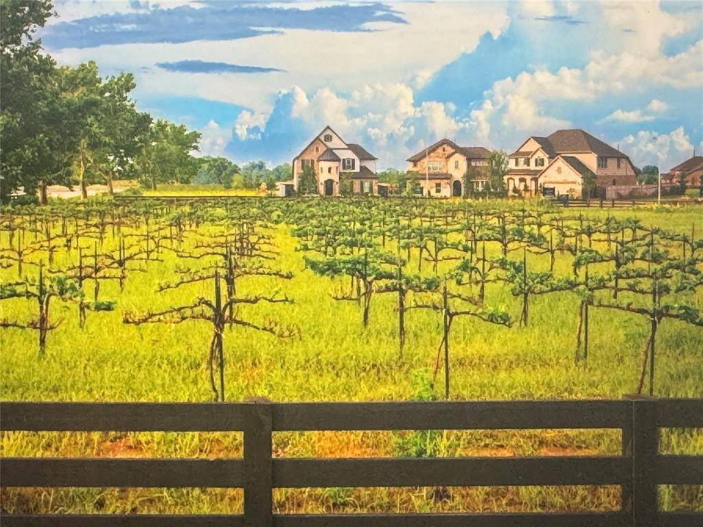 Vineyard, share cropping community! Farmers markets