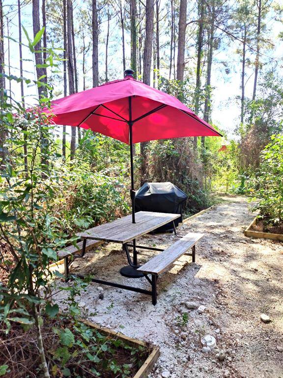 Backyard BBQ area