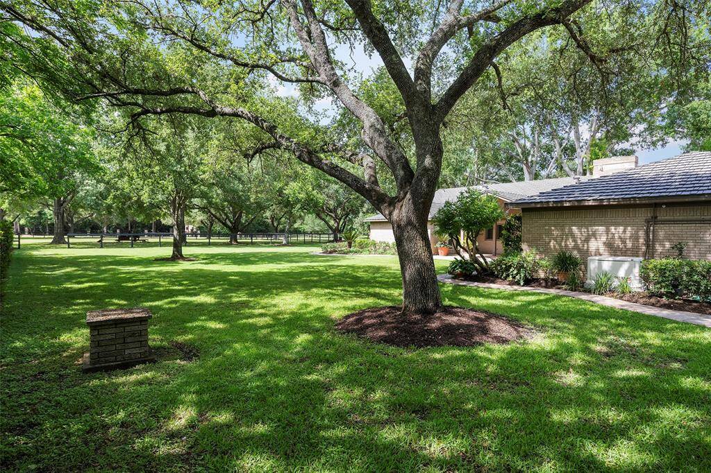 As we come up to backside of the home, we are in awe of the beauty of the majestic trees that surround this property.  Each perfectly placed for shade and wonderment!  Can you envision a tire swing, or a patio set in this spot?