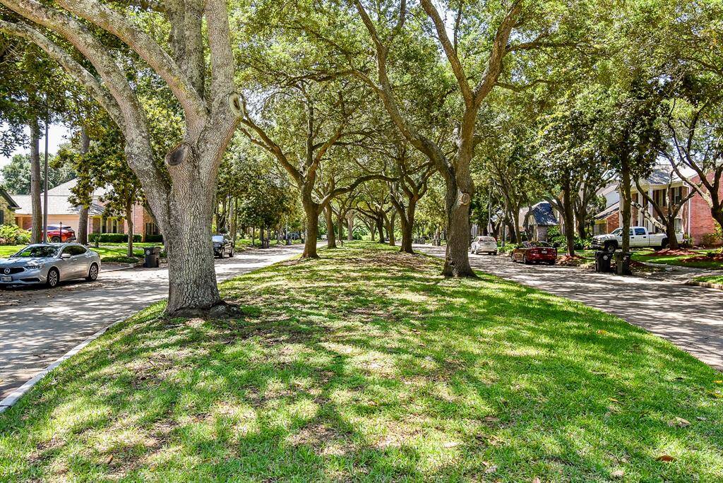 Gorgeous, shady, tree-lined streets.