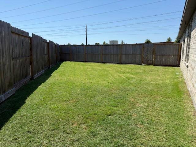 View of Side Yard walking from the back.